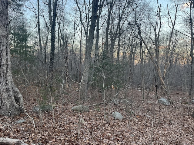 view of local wilderness featuring a view of trees