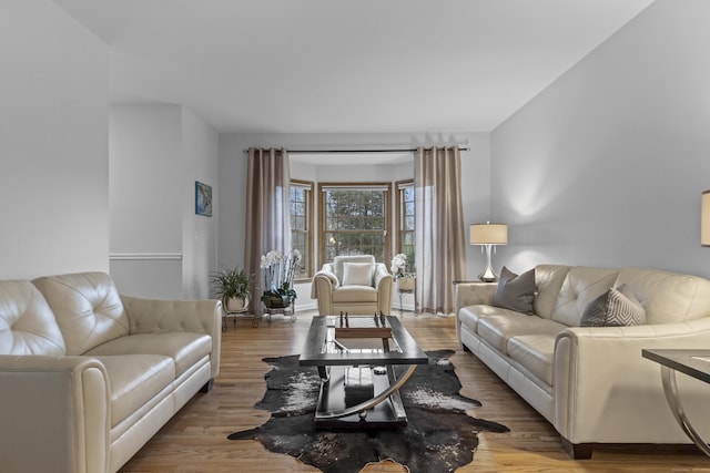 living room featuring wood finished floors