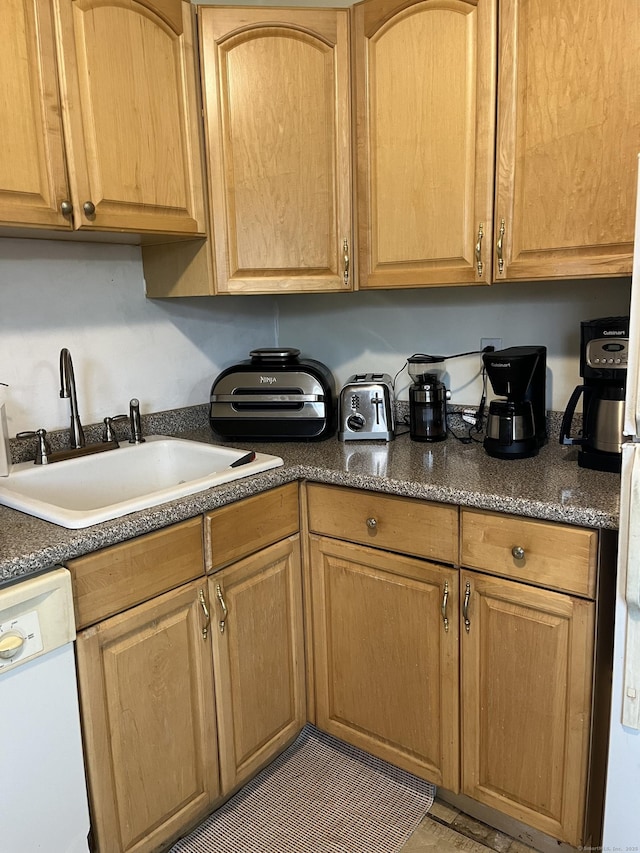 kitchen featuring dishwasher and a sink