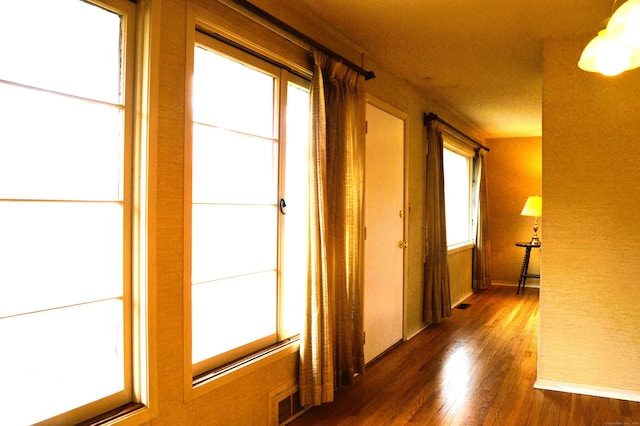 hall with dark wood-type flooring and plenty of natural light