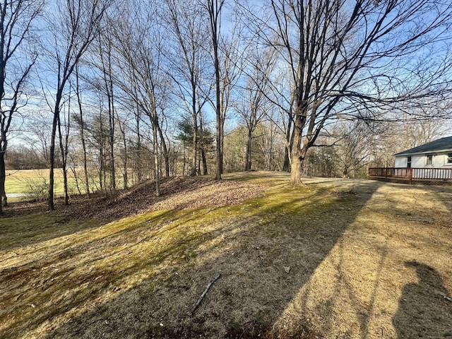 view of yard featuring a wooden deck