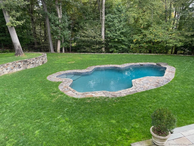 outdoor pool with a yard