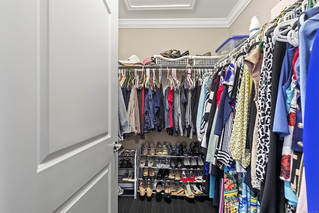 spacious closet featuring wood finished floors