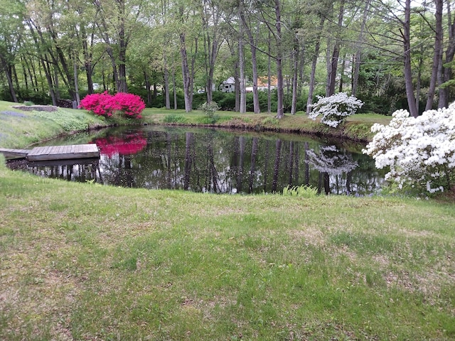 153 Bozrah St, Bozrah, CT 06334 - view of yard with a water view
