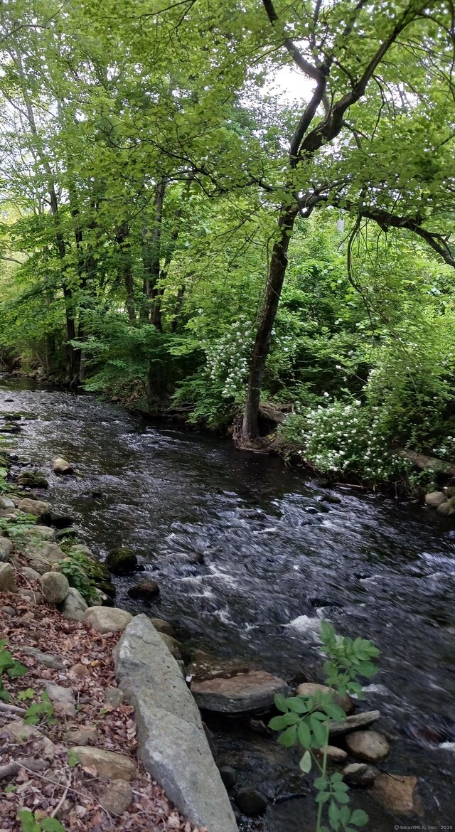 153 Bozrah St, Bozrah, CT 06334 - view of local wilderness