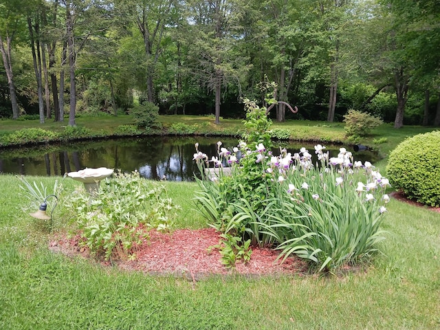 153 Bozrah St, Bozrah, CT 06334 - view of yard