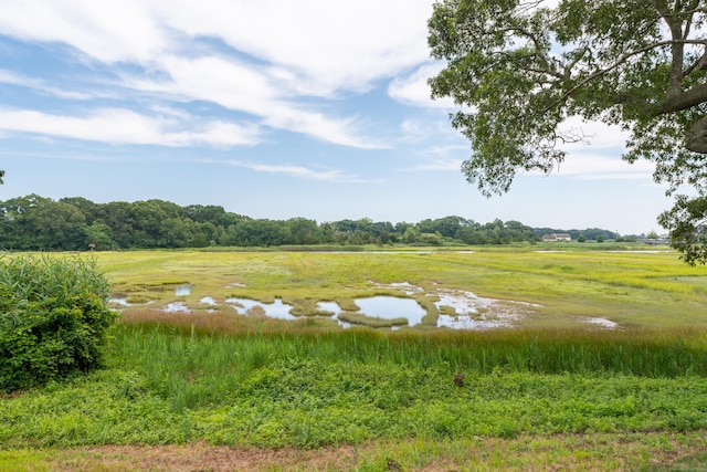 view of local wilderness featuring a water view