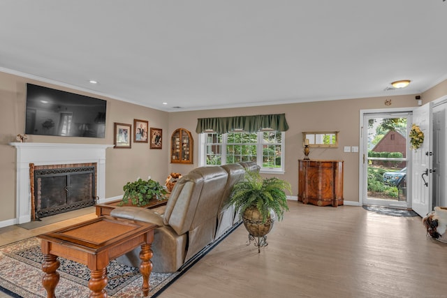 living area with ornamental molding, a wealth of natural light, light wood-type flooring, and a fireplace with flush hearth