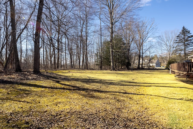 view of yard featuring a wooden deck