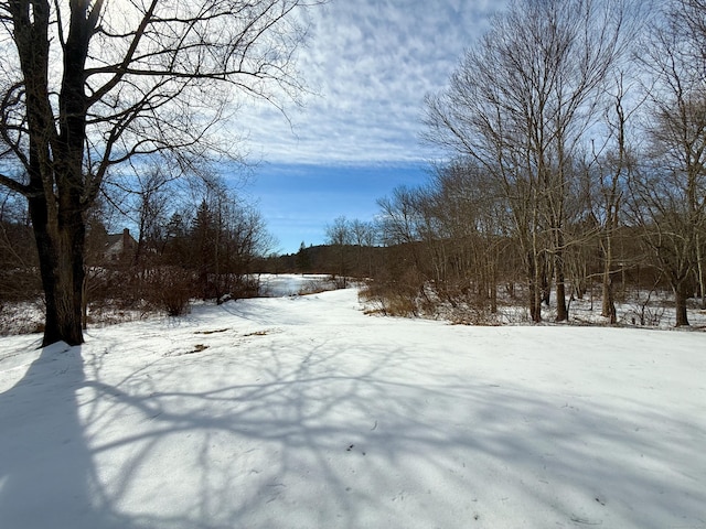 view of yard layered in snow