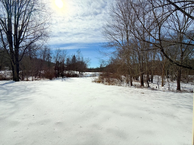 view of yard covered in snow