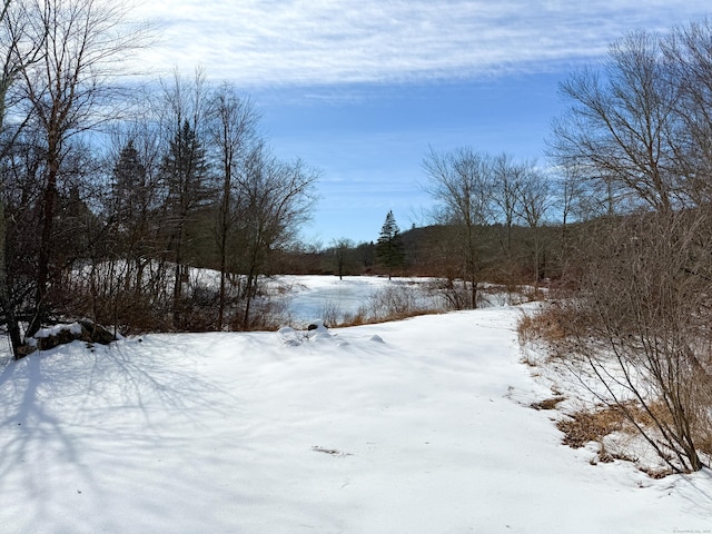 view of yard covered in snow