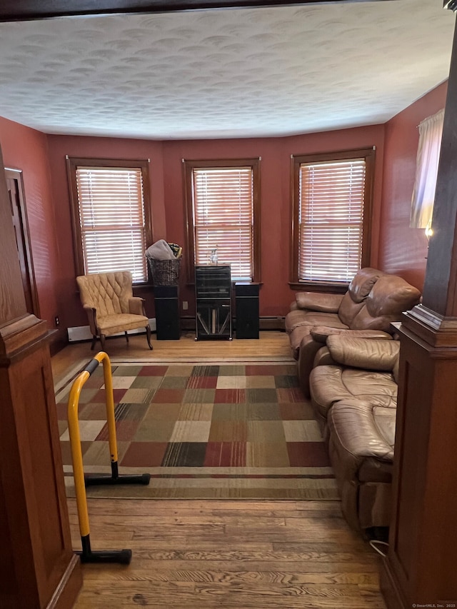 living room featuring a baseboard heating unit and wood finished floors