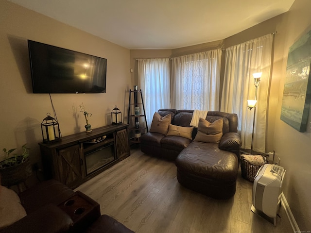 living room featuring wood finished floors