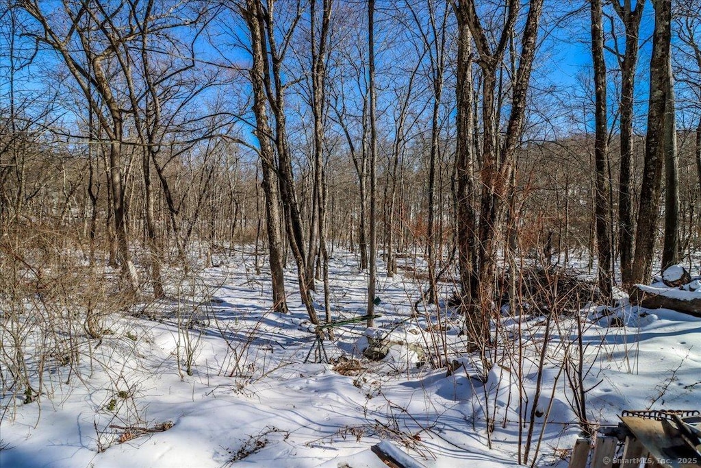 snowy landscape featuring a view of trees