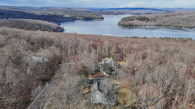 aerial view featuring a water and mountain view and a wooded view