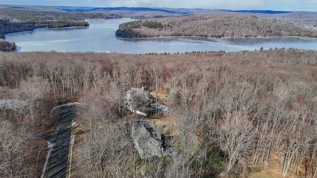 aerial view featuring a forest view and a water view