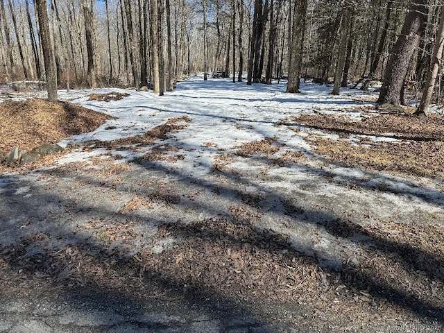 Address Not Disclosed, Warren CT, 06754 land for sale