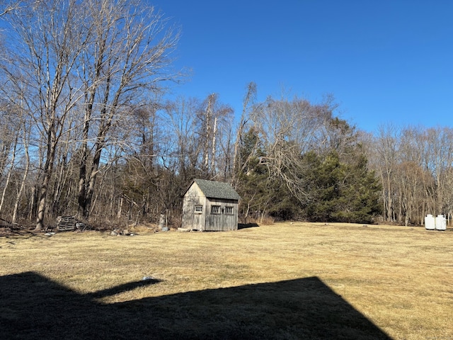 view of yard featuring an outbuilding and a storage unit