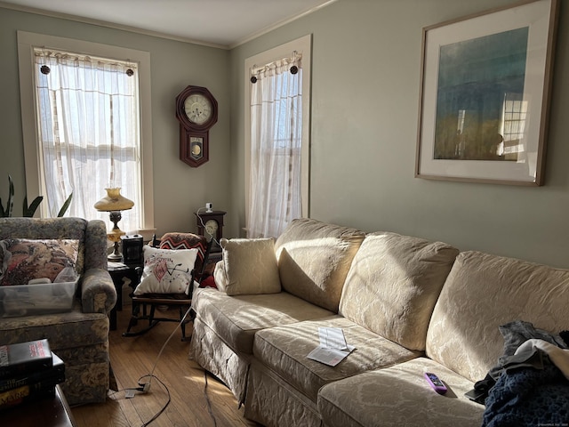 living area featuring crown molding and wood-type flooring