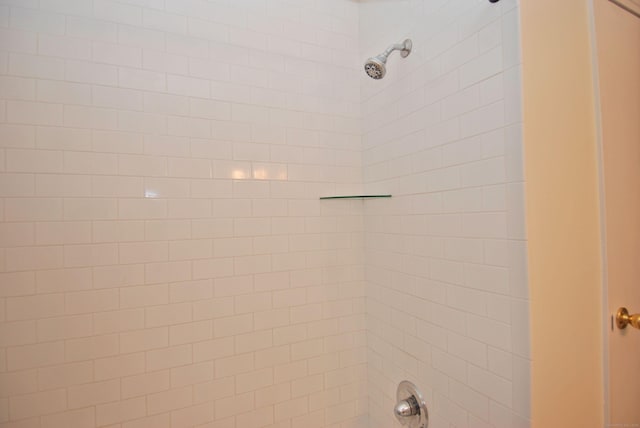 details with shower / washtub combination