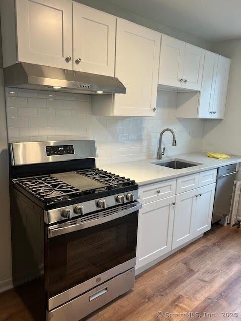 kitchen featuring stainless steel appliances, white cabinets, a sink, and under cabinet range hood