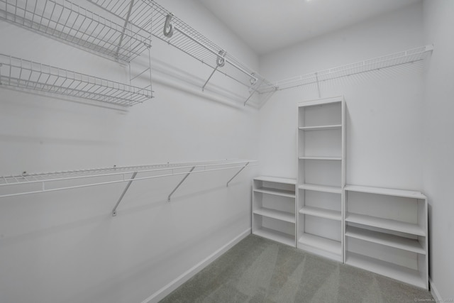 spacious closet with carpet flooring