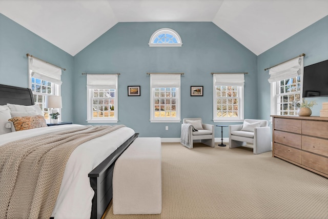 bedroom featuring lofted ceiling, carpet, and baseboards