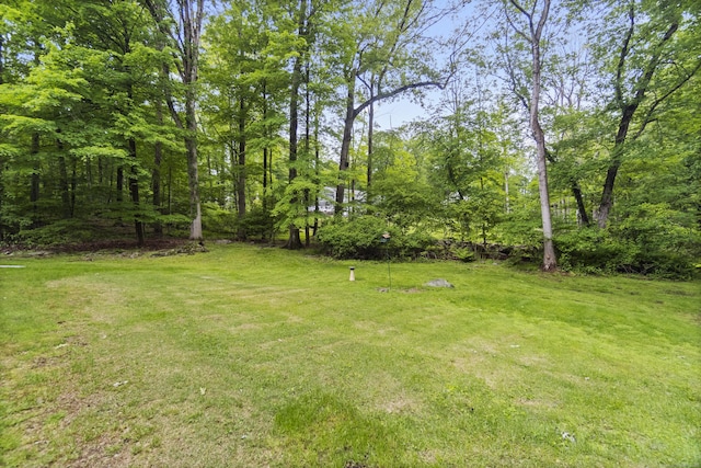 4 Wildwood Ln, Weston, CT 06883 - view of green lawn
