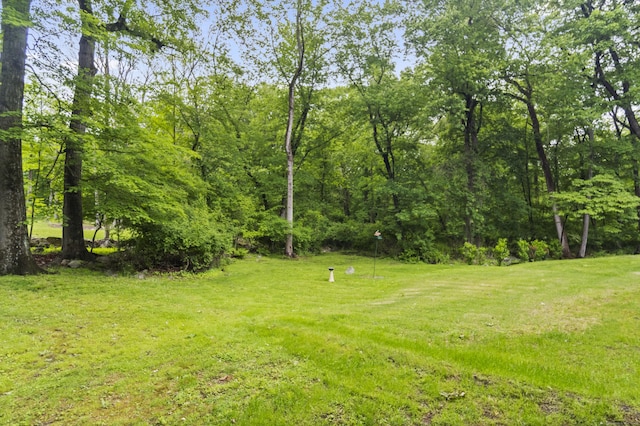 4 Wildwood Ln, Weston, CT 06883 - view of green lawn