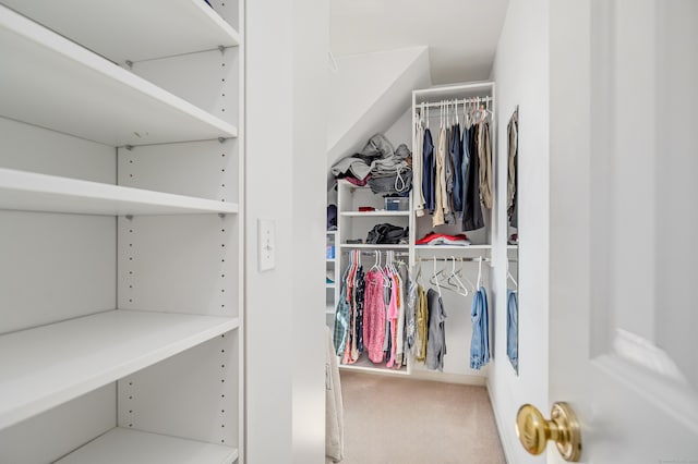 spacious closet featuring carpet