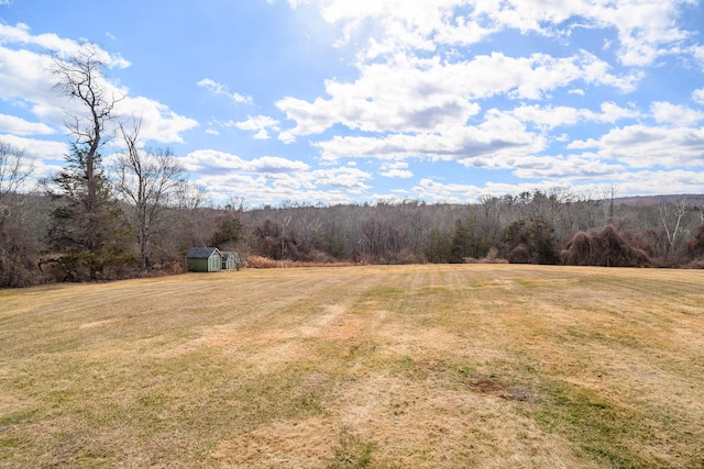 view of yard featuring an outbuilding, a forest view, and a shed