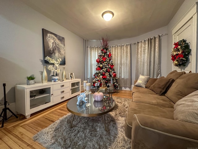 living room featuring light wood-style floors