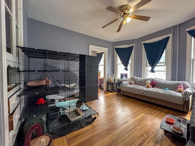 living area featuring ceiling fan and hardwood / wood-style floors