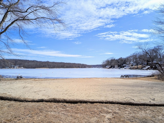 view of water feature with a wooded view