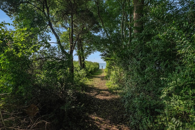 3 Sea Meadows Ln, Waterford, CT 06385 - view of nature