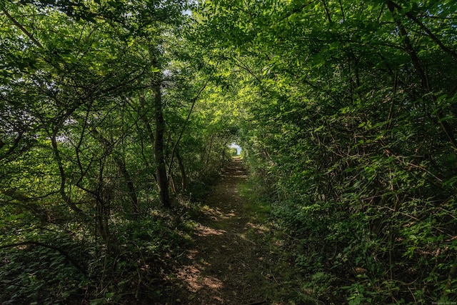 3 Sea Meadows Ln, Waterford, CT 06385 - view of wooded area