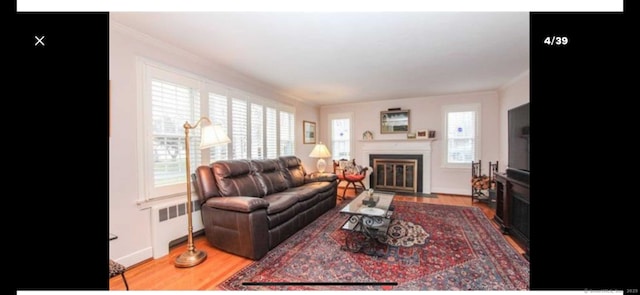 living room featuring crown molding, a fireplace with flush hearth, radiator heating unit, and light wood-type flooring