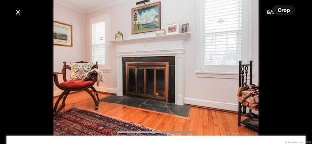 living area featuring crown molding, a fireplace with flush hearth, wood finished floors, and baseboards