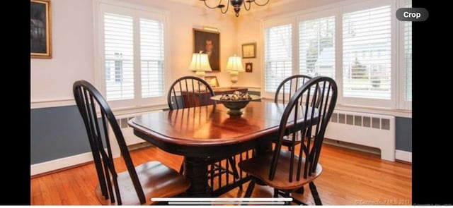 dining room with a chandelier, radiator heating unit, and light wood finished floors