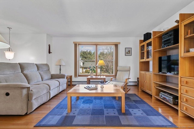 living area featuring wood finished floors