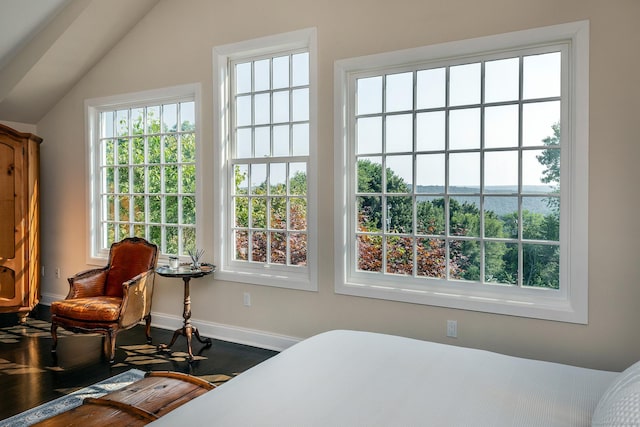 bedroom featuring lofted ceiling and baseboards