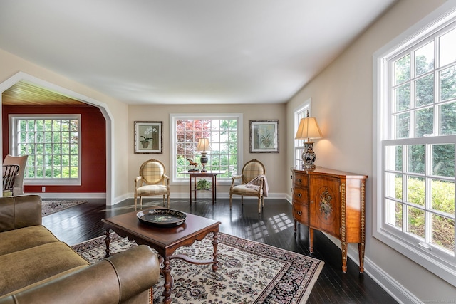 living room featuring baseboards, arched walkways, a healthy amount of sunlight, and dark wood finished floors