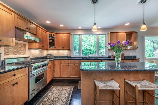 kitchen featuring a breakfast bar area, a sink, luxury range, under cabinet range hood, and tasteful backsplash