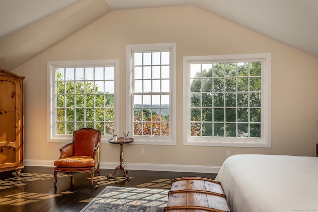 bedroom featuring baseboards, dark wood-type flooring, and lofted ceiling