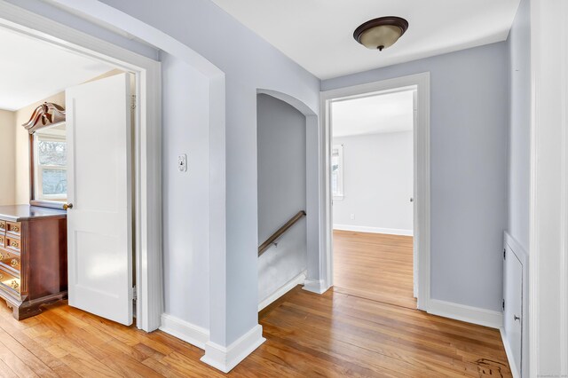 390 Dexter Dr, Bridgeport, CT 06606 - photo 15