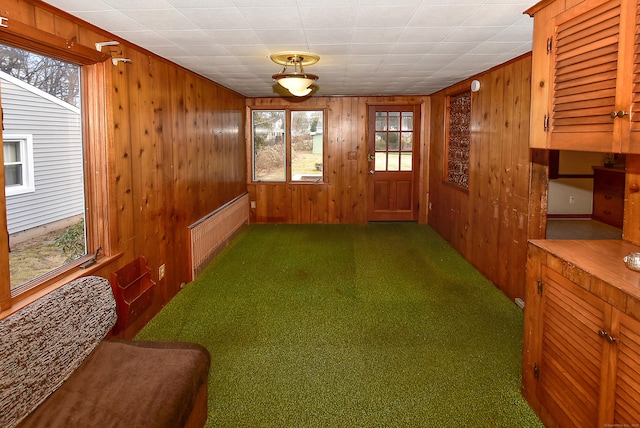 interior space featuring carpet, a healthy amount of sunlight, wood walls, and a baseboard radiator