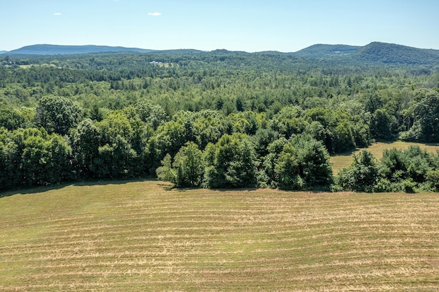 Under Mountain Rd, Salisbury, CT 06068