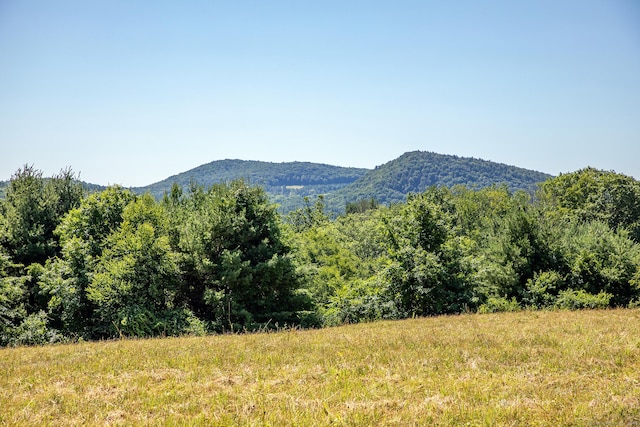 Under Mountain Rd, Salisbury, CT 06068
