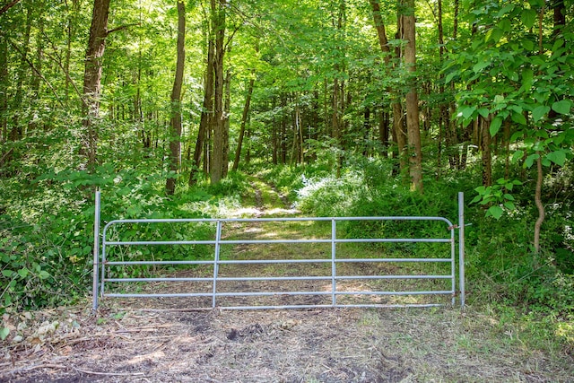 Under Mountain Rd, Salisbury, CT 06068